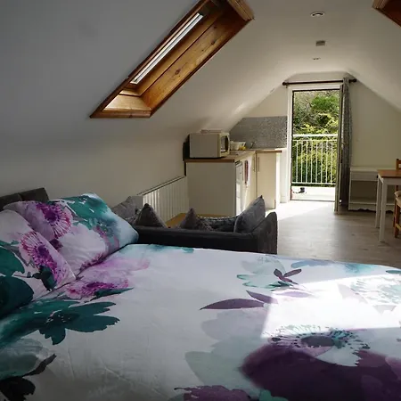 Barrybeag 1 Bedroom Lägenhet Ballyvaughan